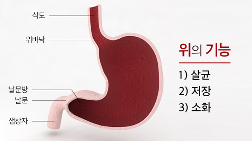 안산한사랑병원 위암